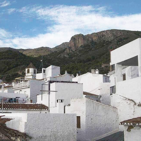 Andalusië | El Acebuchal - natuurreservaat