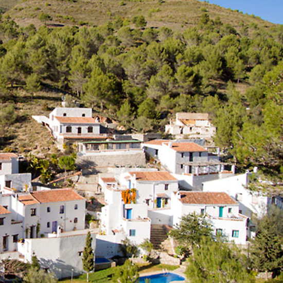 El Acebuchal | Axarquía | Andalucía