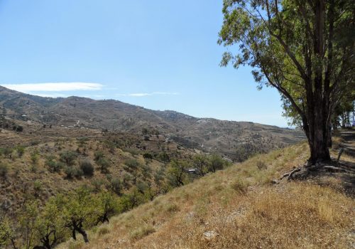 Arenas | Ruta Mudejar | Axarquía