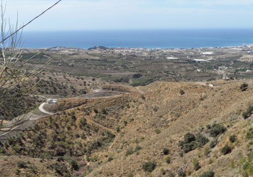 Arenas | Ruta Mudejar | Axarquia