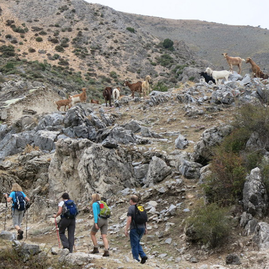 Frigiliana | Axarquia | Andalusië | Natuurreservaat