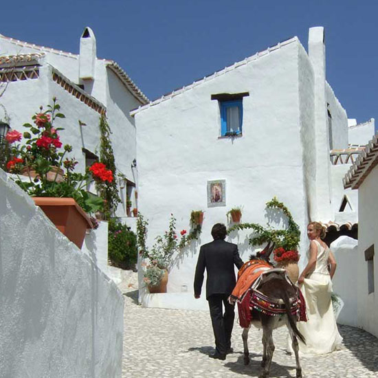 El Acebuchal | Andalucía